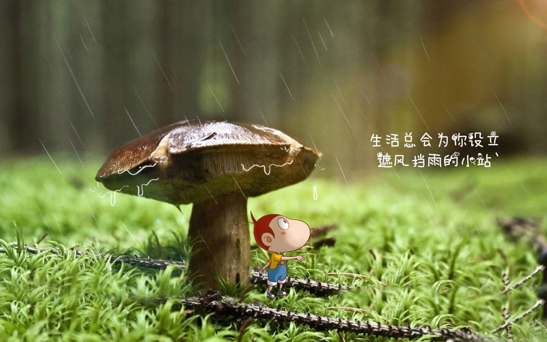 帕尔马年轻球员梅开二度，助球队赢得胜利，帕尔马青训出来的球星