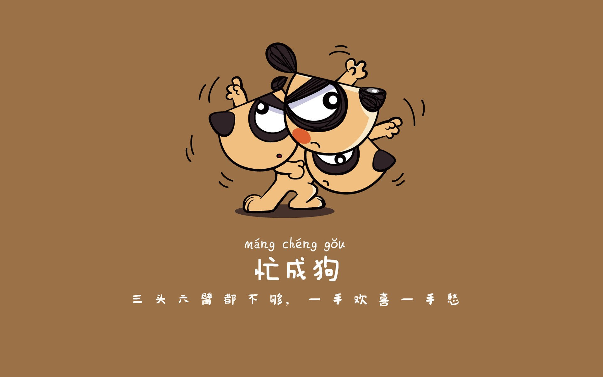 中国队在乒乓球项目中夺得六枚金牌，巩固了其在亚洲的领先地位。