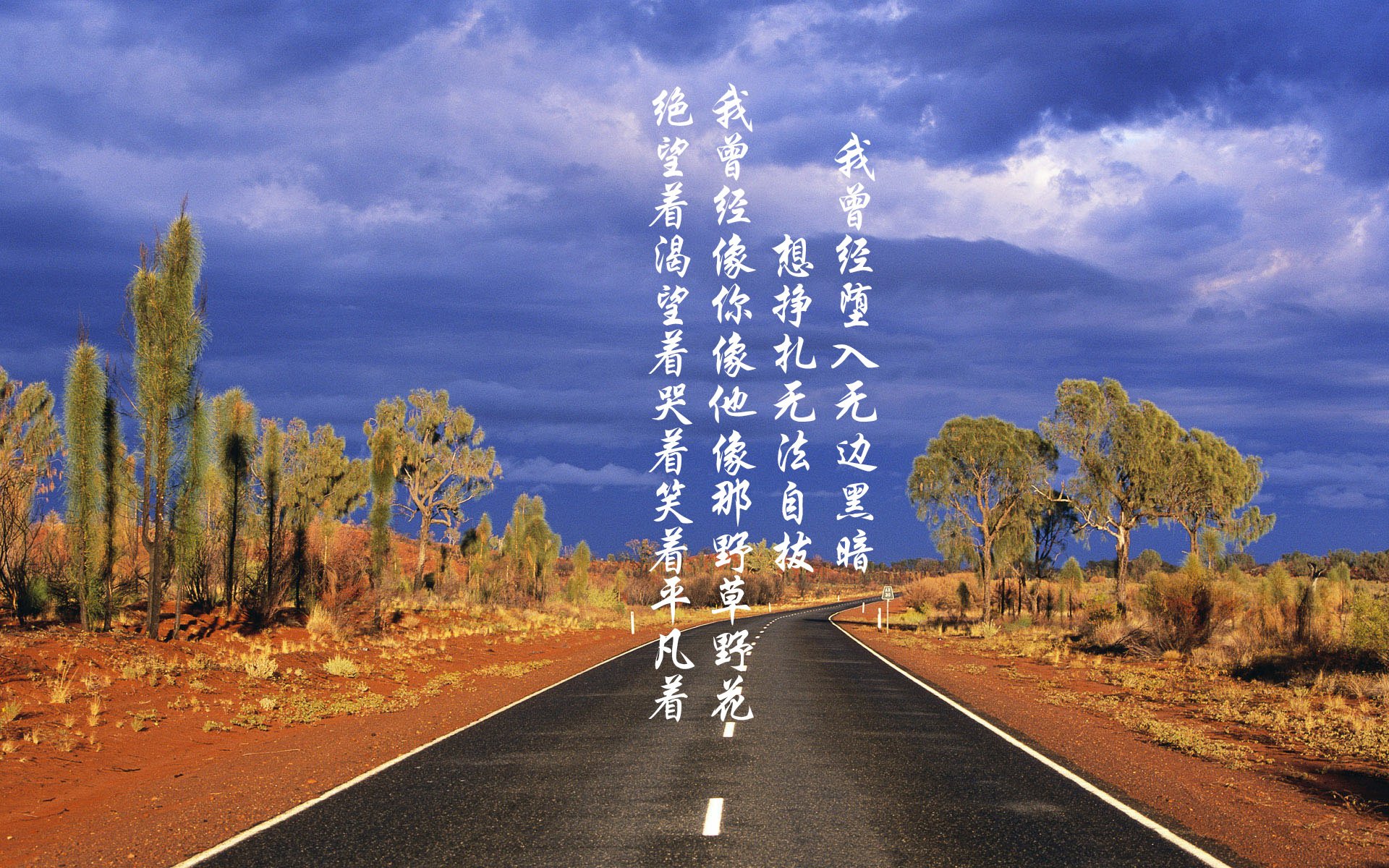 欧冠激情时刻，球迷的呐喊震天动地，欧冠名场面