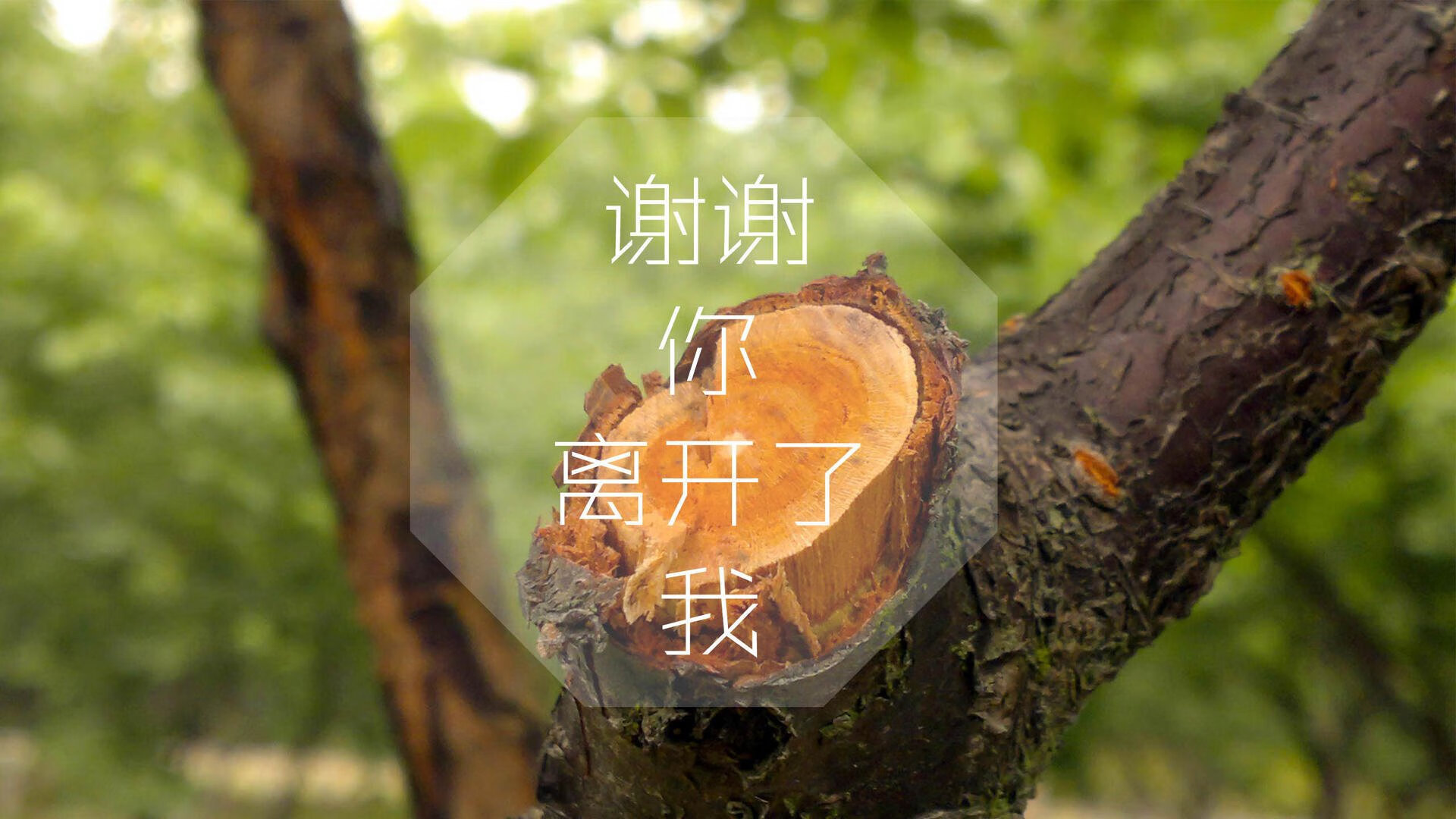 罗马前锋入选国家队，备战国际比赛，罗马前锋入选国家队,备战国际比赛视频
