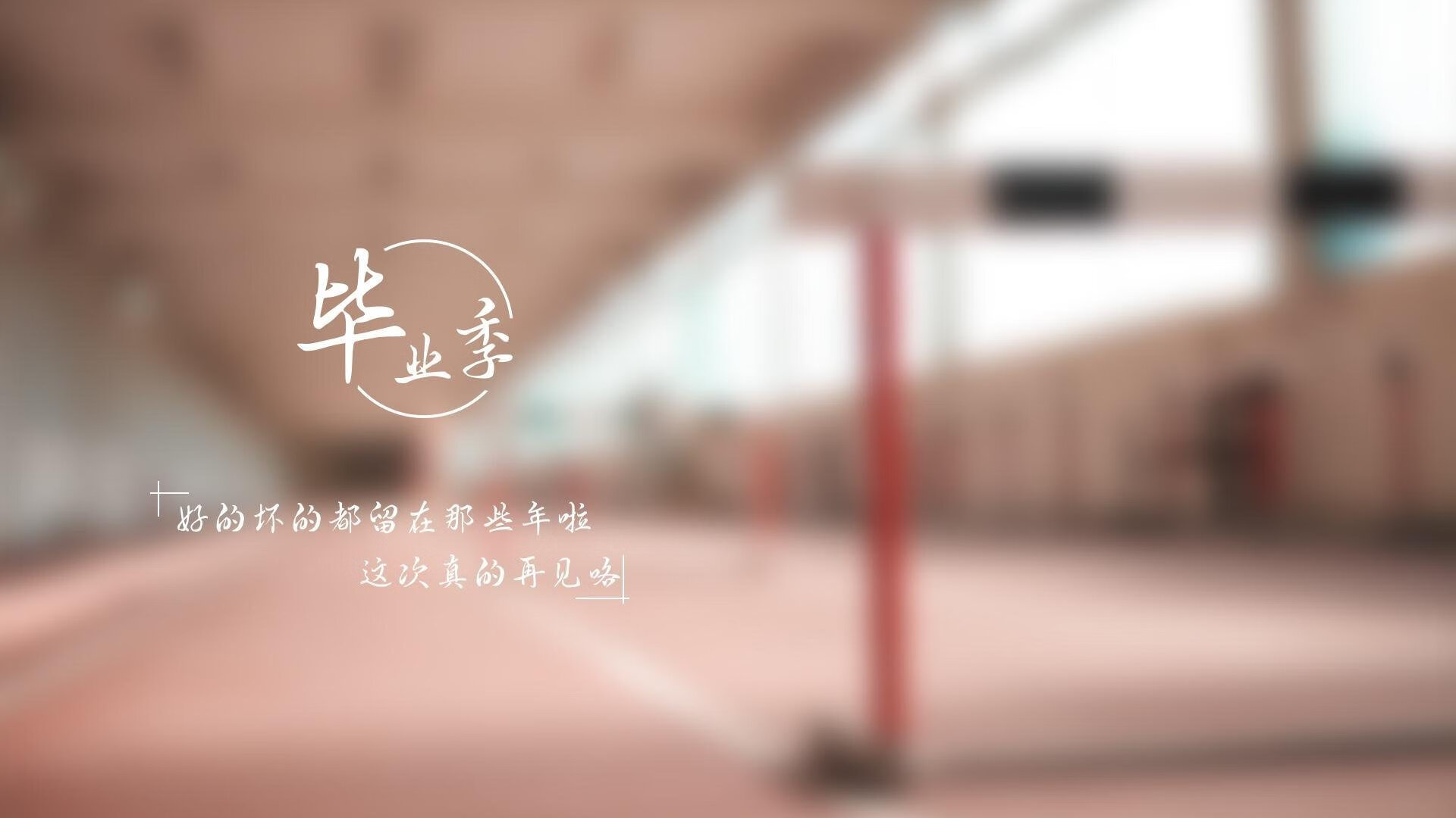 达拉斯牛仔队重返季后赛，达拉斯牛仔阵容